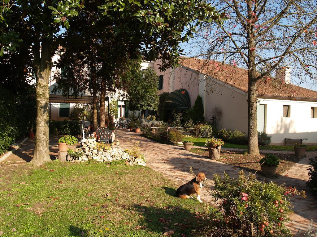 Agriturismo Le Clementine Badia Polesine Exteriör bild